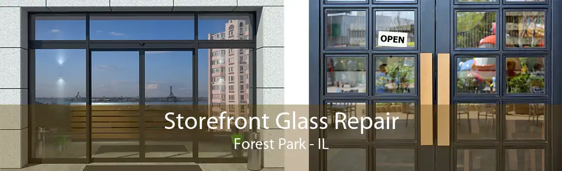 Storefront Glass Repair Forest Park - IL