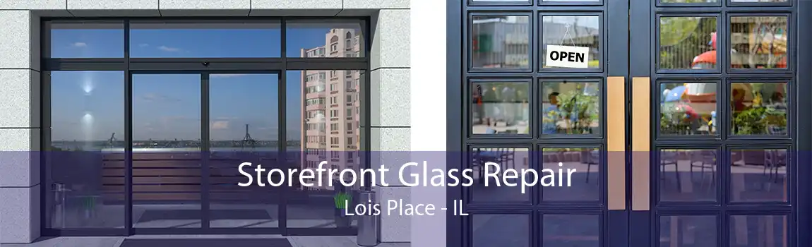 Storefront Glass Repair Lois Place - IL