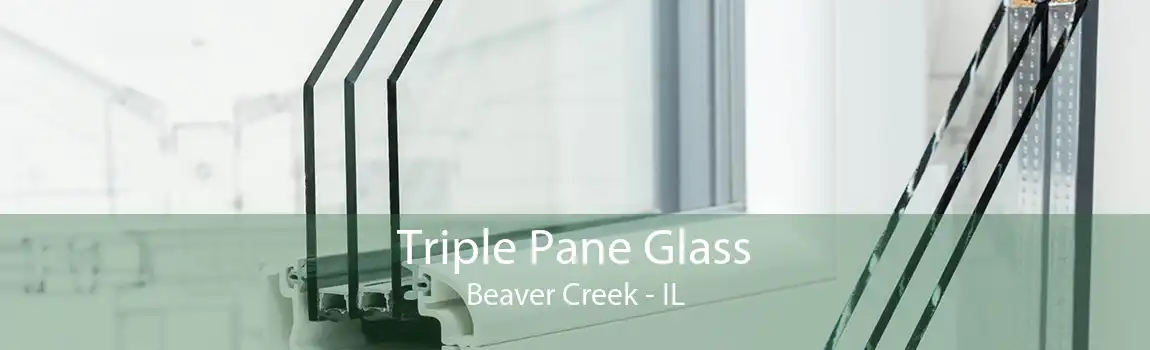 Triple Pane Glass Beaver Creek - IL