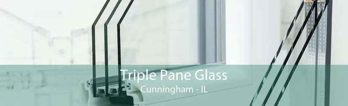 Triple Pane Glass Cunningham - IL