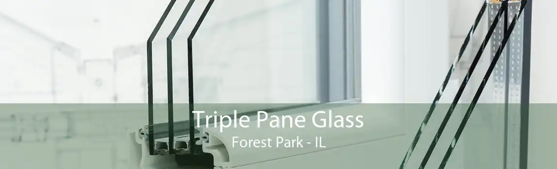 Triple Pane Glass Forest Park - IL