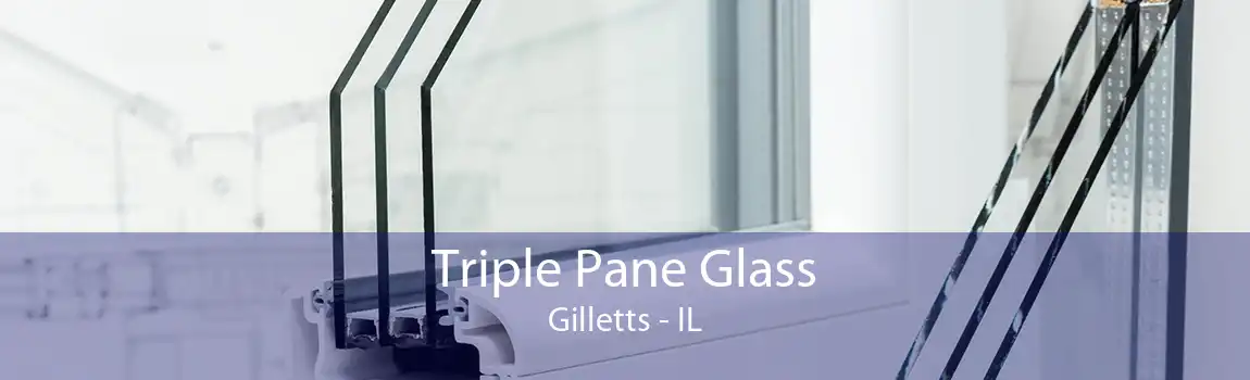 Triple Pane Glass Gilletts - IL