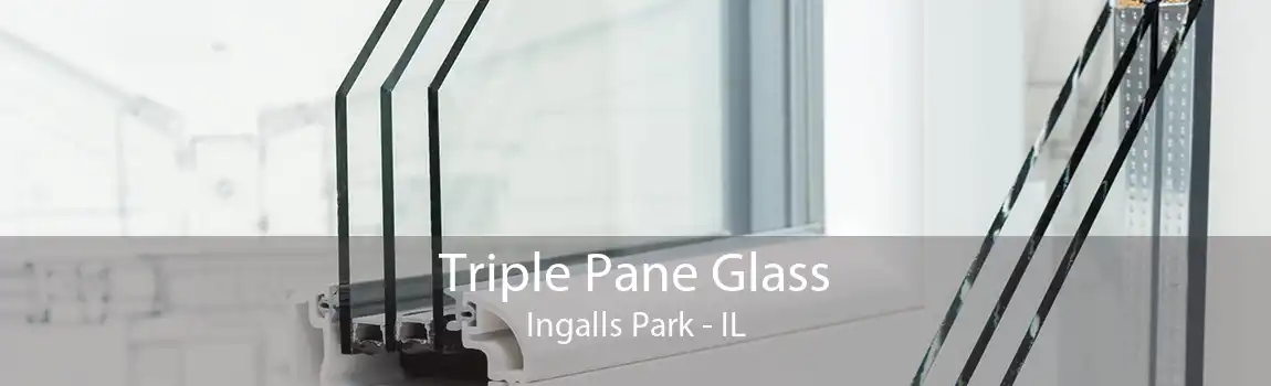 Triple Pane Glass Ingalls Park - IL