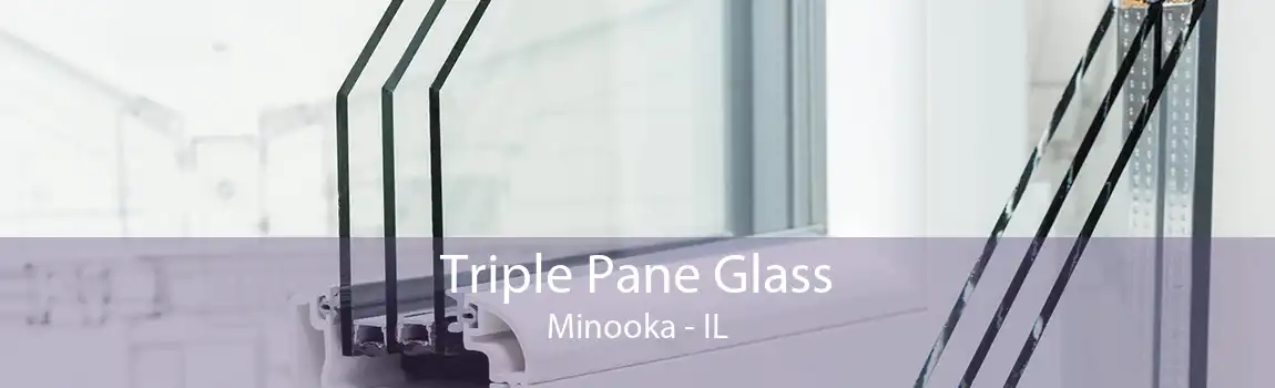 Triple Pane Glass Minooka - IL