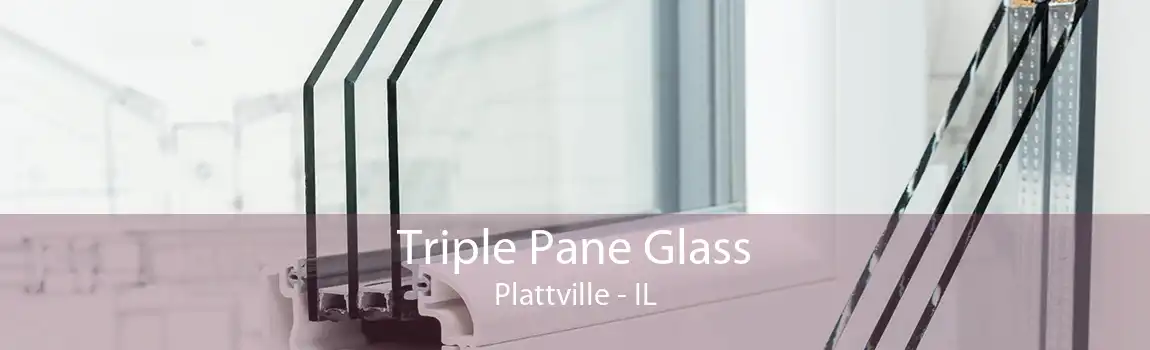 Triple Pane Glass Plattville - IL