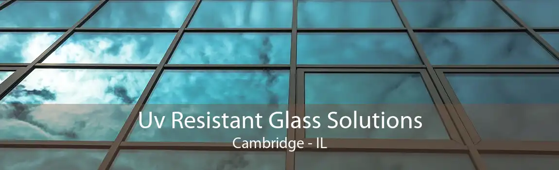 Uv Resistant Glass Solutions Cambridge - IL