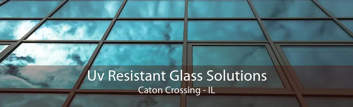 Uv Resistant Glass Solutions Caton Crossing - IL