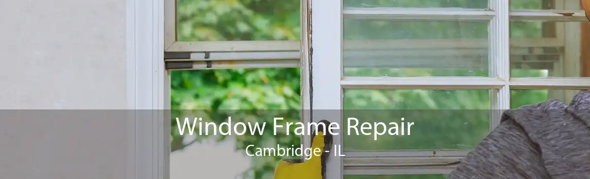 Window Frame Repair Cambridge - IL