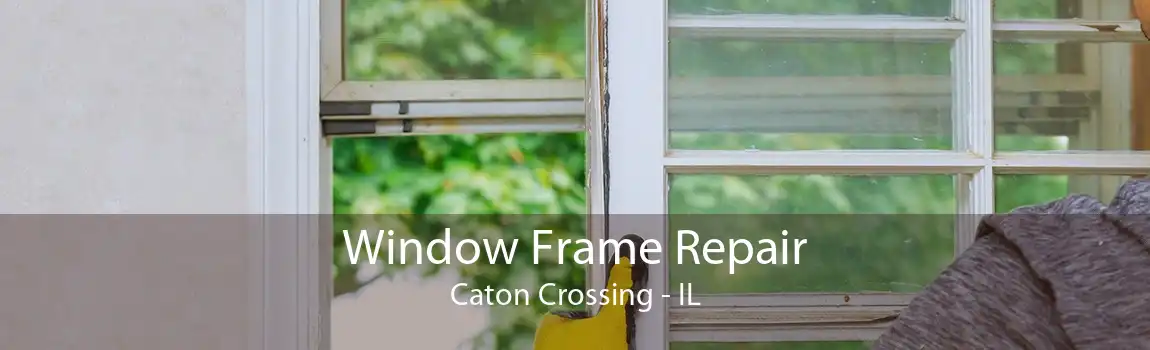 Window Frame Repair Caton Crossing - IL