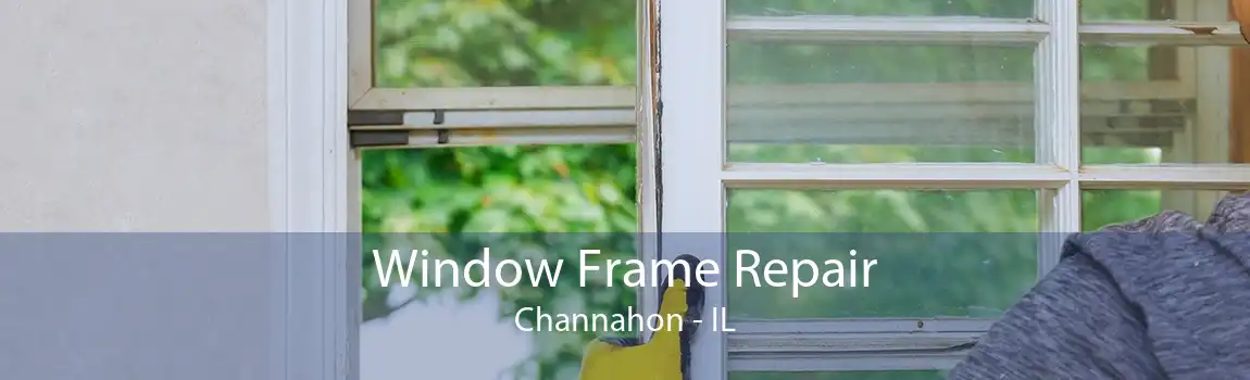 Window Frame Repair Channahon - IL