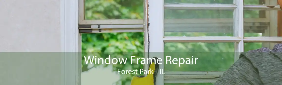 Window Frame Repair Forest Park - IL