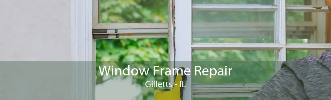 Window Frame Repair Gilletts - IL