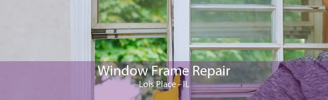 Window Frame Repair Lois Place - IL