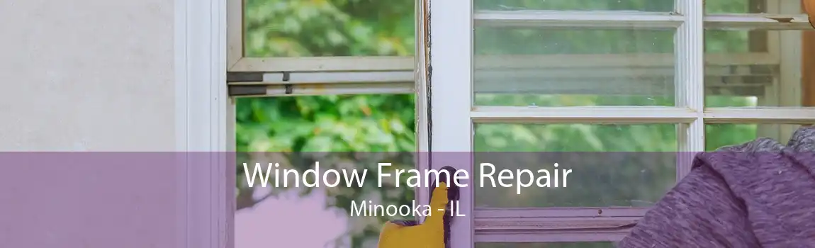 Window Frame Repair Minooka - IL