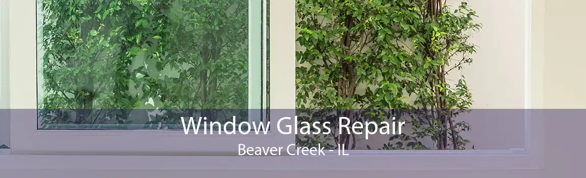 Window Glass Repair Beaver Creek - IL