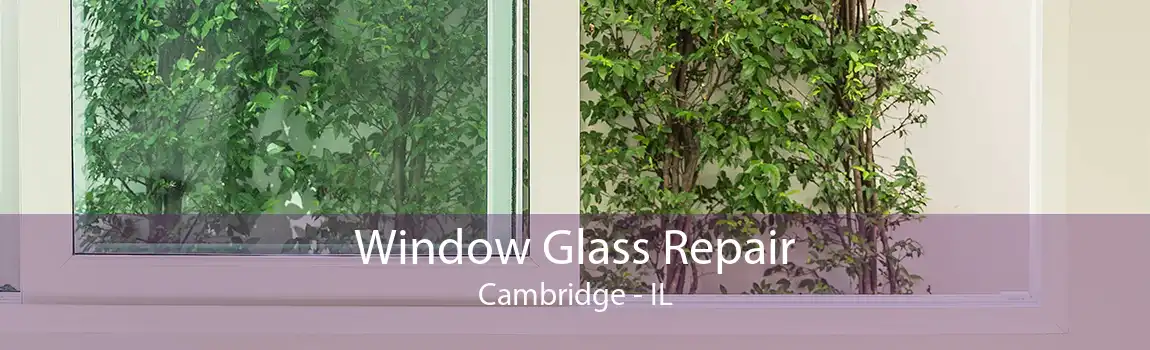 Window Glass Repair Cambridge - IL