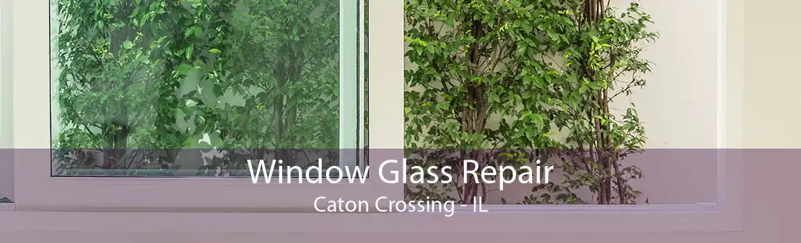 Window Glass Repair Caton Crossing - IL