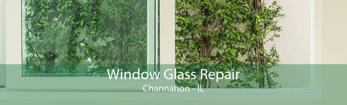 Window Glass Repair Channahon - IL