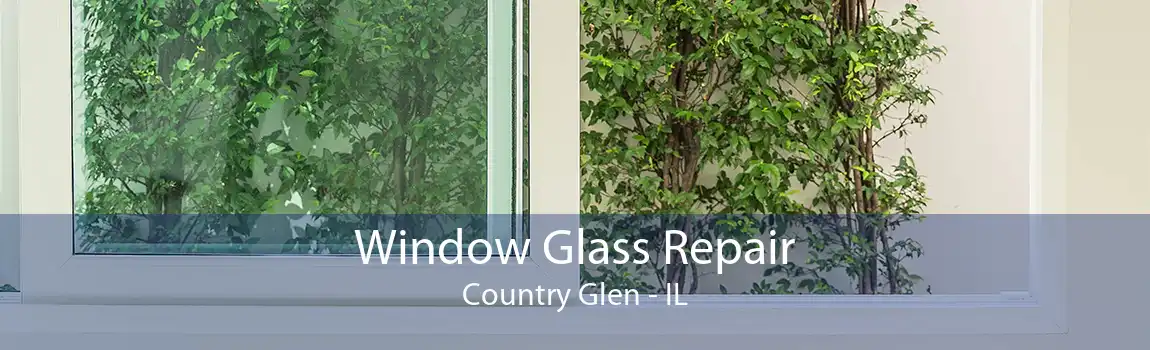 Window Glass Repair Country Glen - IL