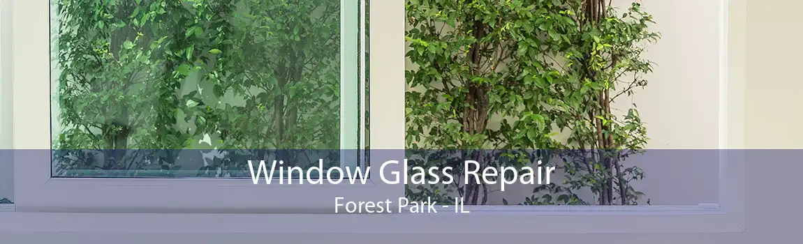 Window Glass Repair Forest Park - IL