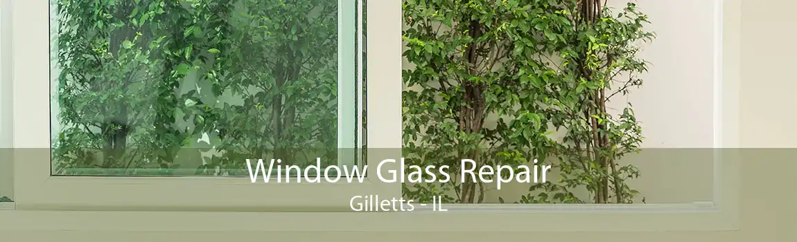 Window Glass Repair Gilletts - IL