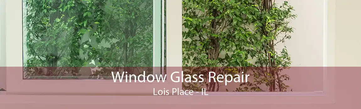 Window Glass Repair Lois Place - IL