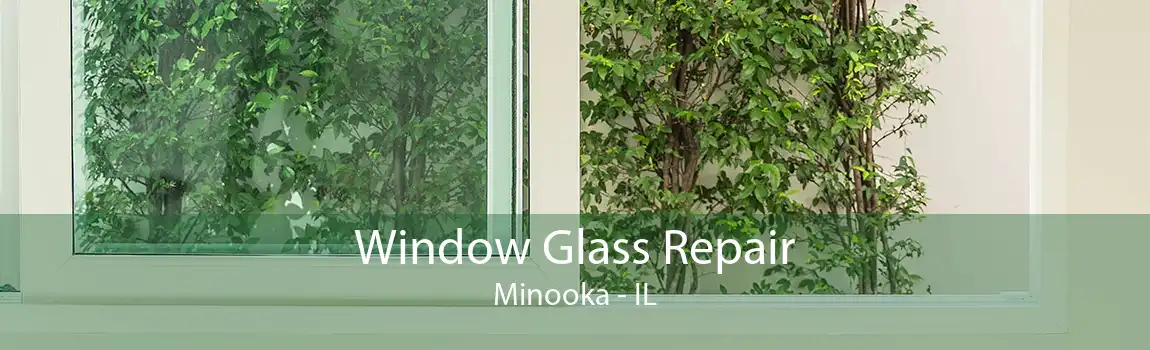 Window Glass Repair Minooka - IL