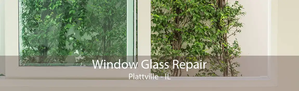 Window Glass Repair Plattville - IL