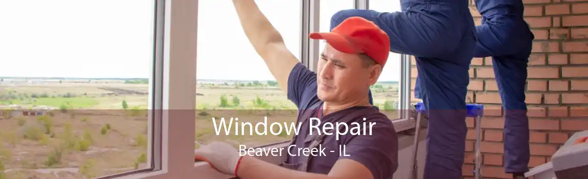 Window Repair Beaver Creek - IL