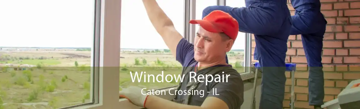 Window Repair Caton Crossing - IL