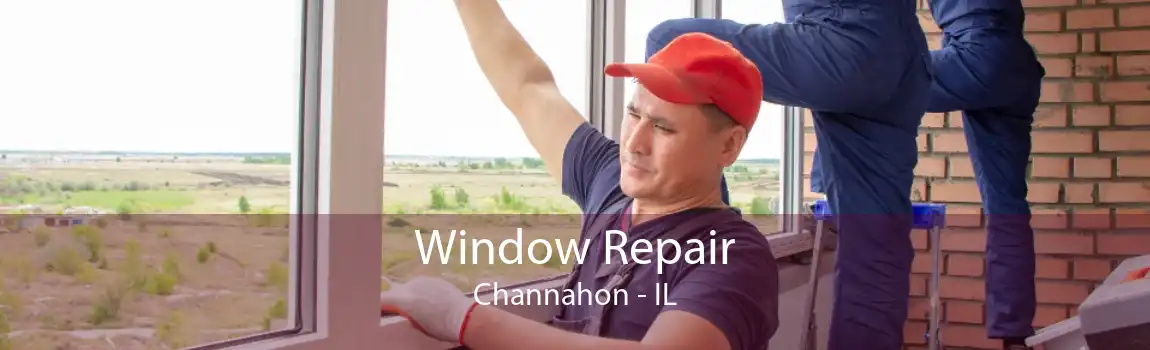 Window Repair Channahon - IL