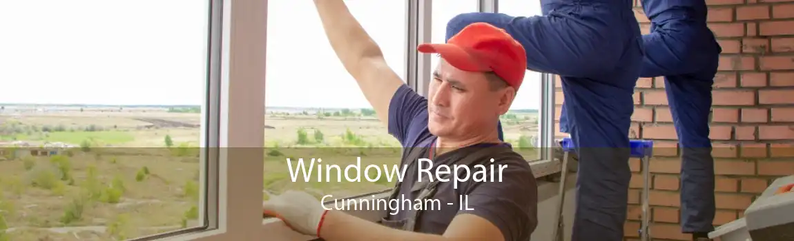 Window Repair Cunningham - IL