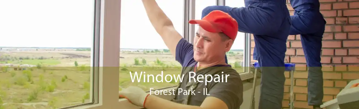 Window Repair Forest Park - IL