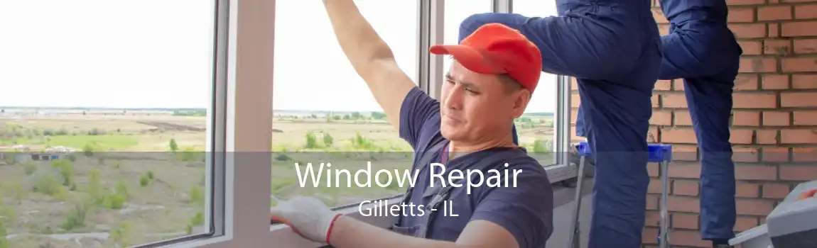 Window Repair Gilletts - IL