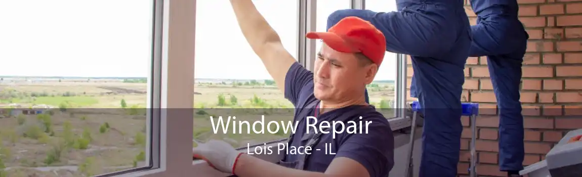 Window Repair Lois Place - IL