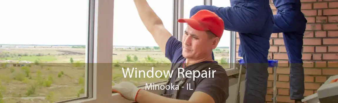 Window Repair Minooka - IL