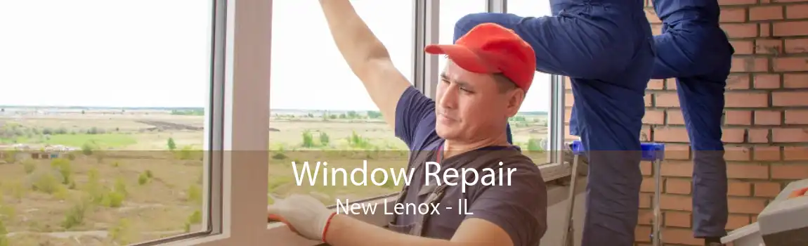 Window Repair New Lenox - IL