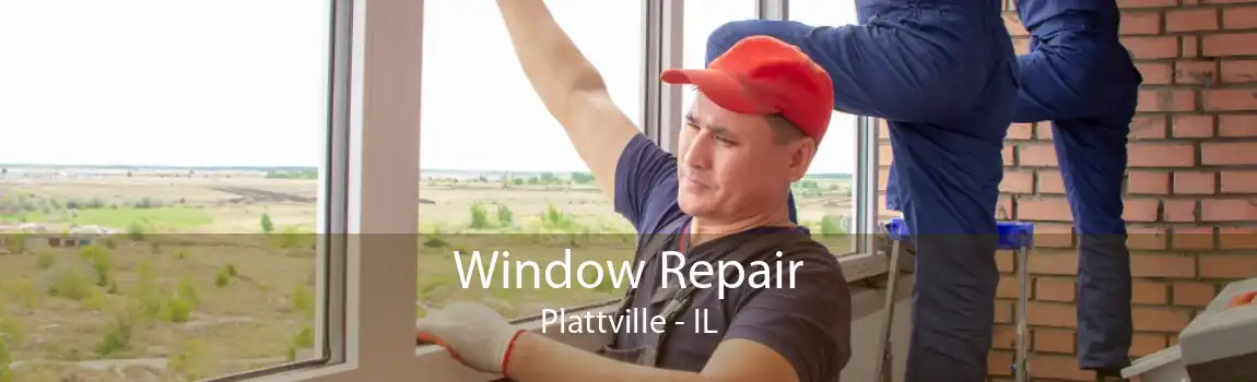 Window Repair Plattville - IL