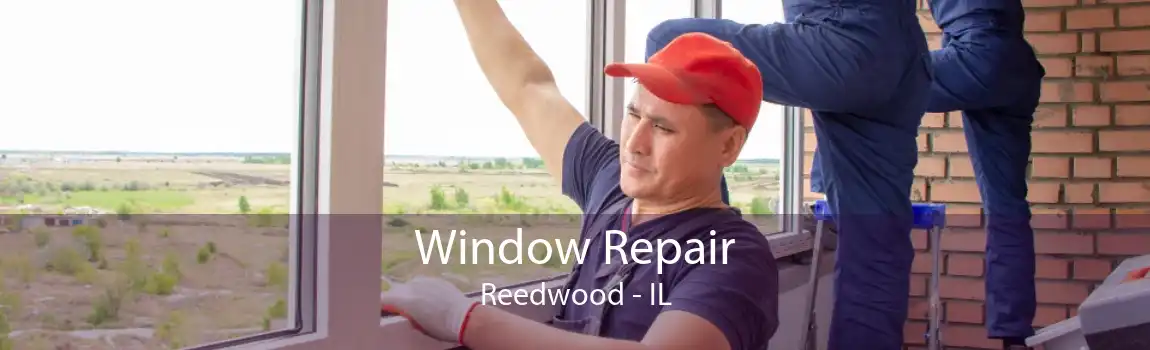 Window Repair Reedwood - IL