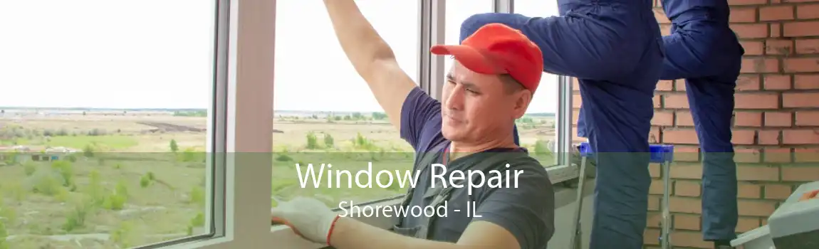 Window Repair Shorewood - IL