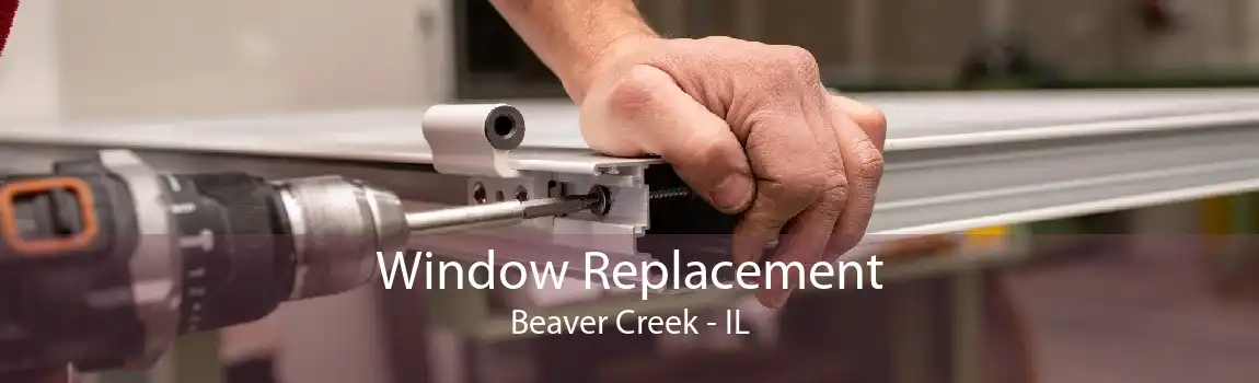 Window Replacement Beaver Creek - IL