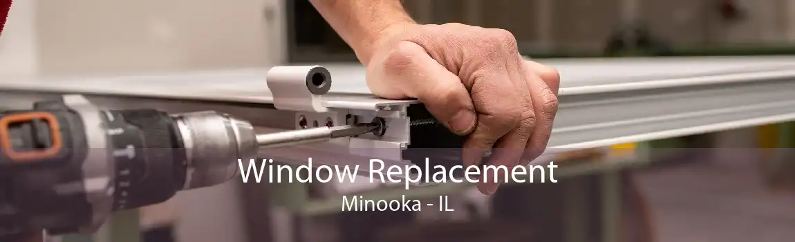 Window Replacement Minooka - IL