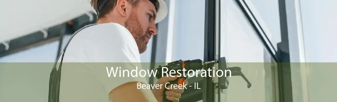 Window Restoration Beaver Creek - IL