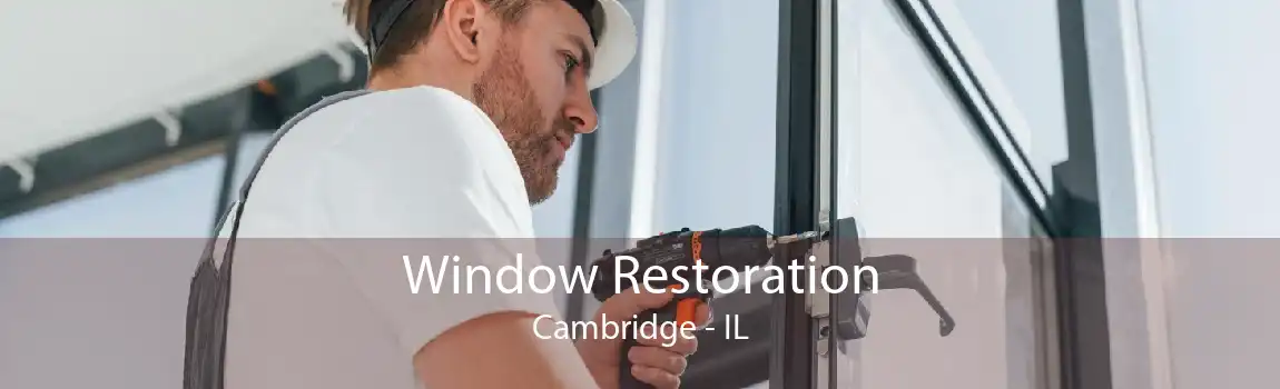 Window Restoration Cambridge - IL