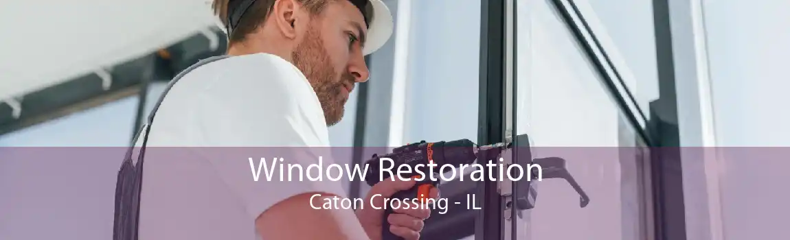 Window Restoration Caton Crossing - IL