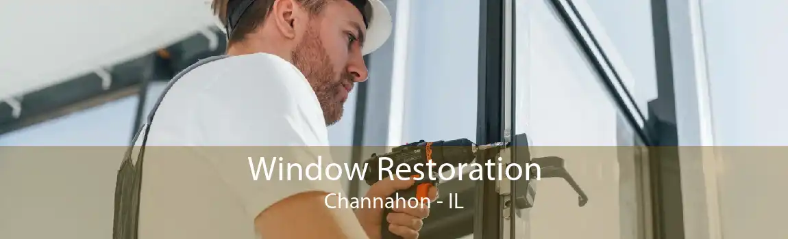 Window Restoration Channahon - IL