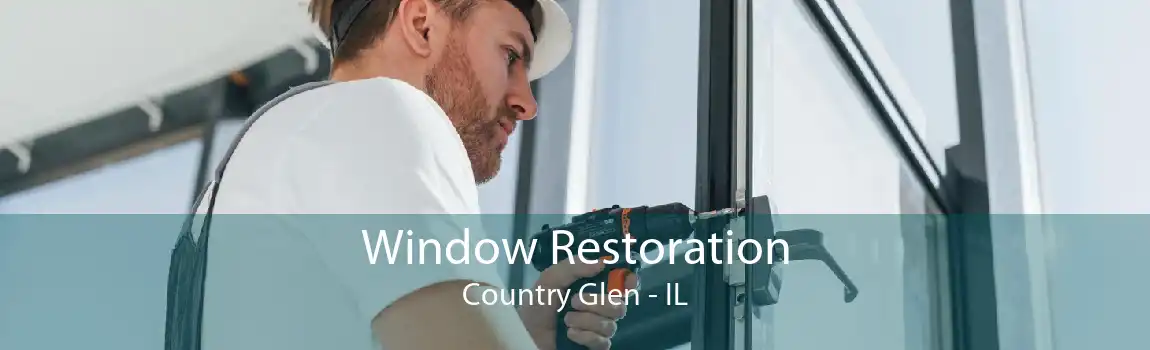 Window Restoration Country Glen - IL