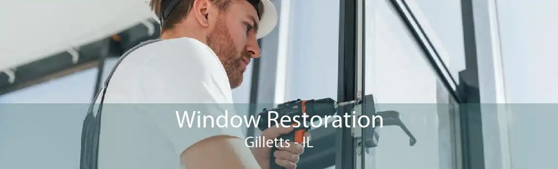 Window Restoration Gilletts - IL