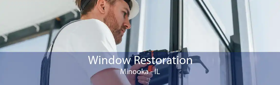 Window Restoration Minooka - IL