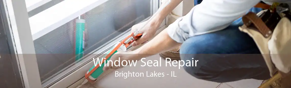 Window Seal Repair Brighton Lakes - IL